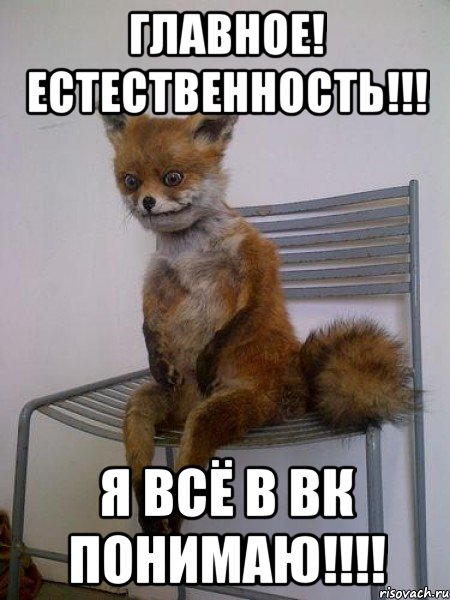 Главное! Естественность!!! Я всё в ВК понимаю!!!!, Мем Упоротая лиса