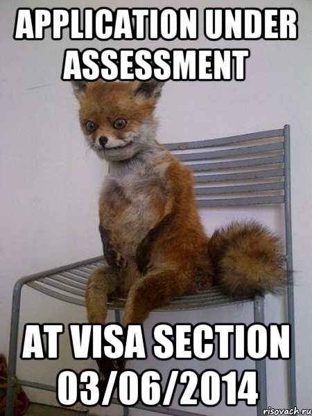 Application under assessment at Visa Section 03/06/2014, Мем Упоротая лиса