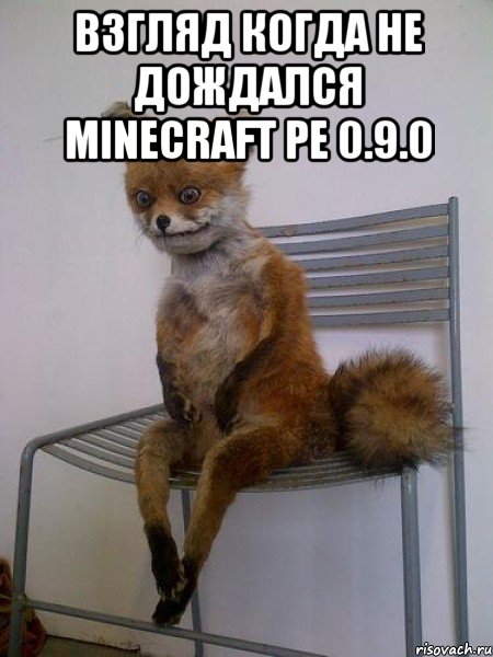 Взгляд когда не дождался Minecraft pe 0.9.0 , Мем Упоротая лиса