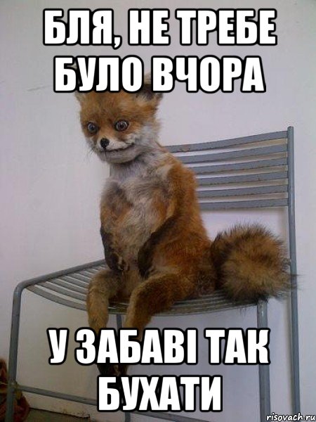 Бля, не требе було вчора у Забаві так бухати, Мем Упоротая лиса