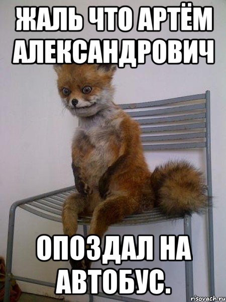 Жаль что Артём Александрович Опоздал на автобус., Мем Упоротая лиса