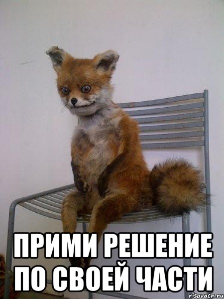  прими решение по своей части, Мем Упоротая лиса