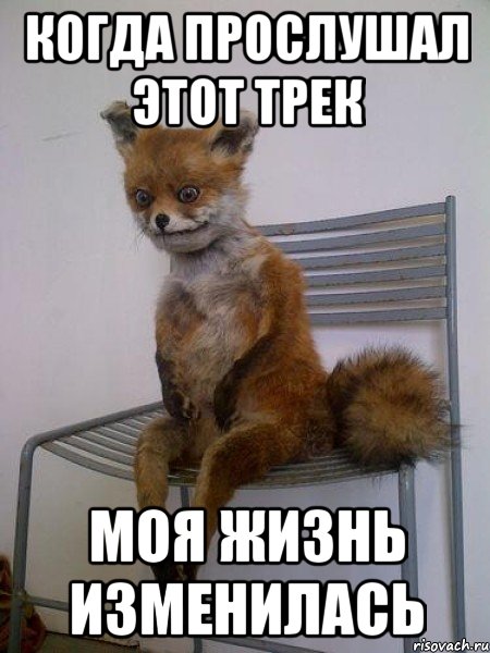 Когда прослушал этот трек Моя жизнь изменилась, Мем Упоротая лиса
