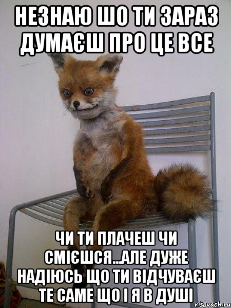 незнаю шо ти зараз думаєш про це все чи ти плачеш чи смієшся...але дуже надіюсь що ти відчуваєш те саме що і я в душі, Мем Упоротая лиса