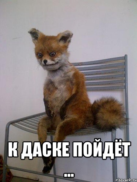  К даске пойдёт ..., Мем Упоротая лиса