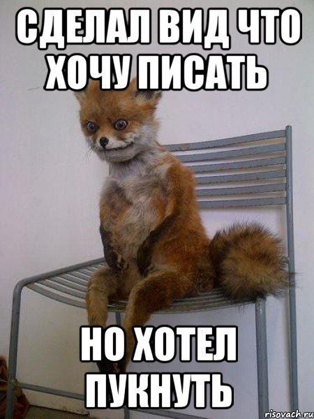 Сделал вид что хочу писать но хотел пукнуть, Мем Упоротая лиса