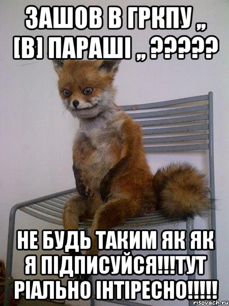 Зашов в гркпу ,, [В] Параші ,, ????? Не будь таким як як я підписуйся!!!тут ріально інтіресно!!!!!, Мем Упоротая лиса
