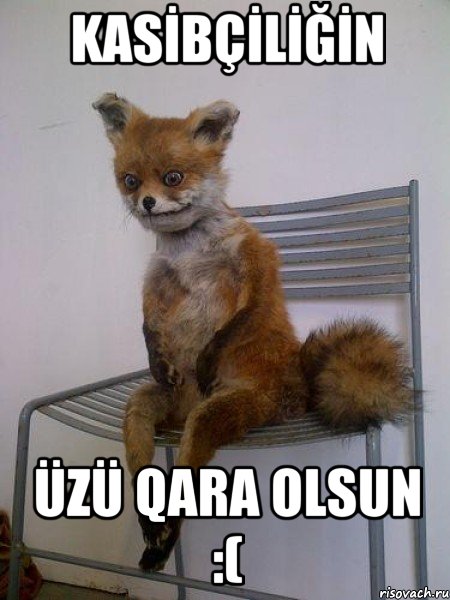KASİBÇİLİĞİN ÜZÜ QARA OLSUN :(, Мем Упоротая лиса