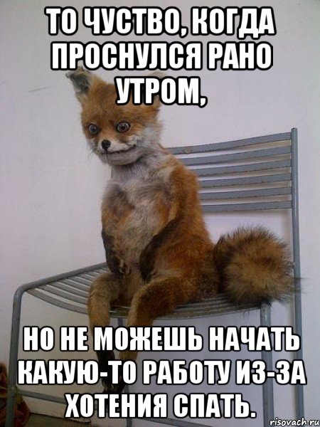 То чуство, когда проснулся рано утром, но не можешь начать какую-то работу из-за хотения спать., Мем Упоротая лиса