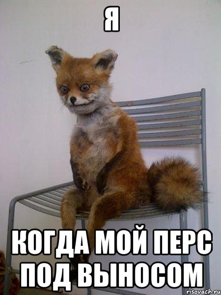 я когда мой перс под выносом, Мем Упоротая лиса