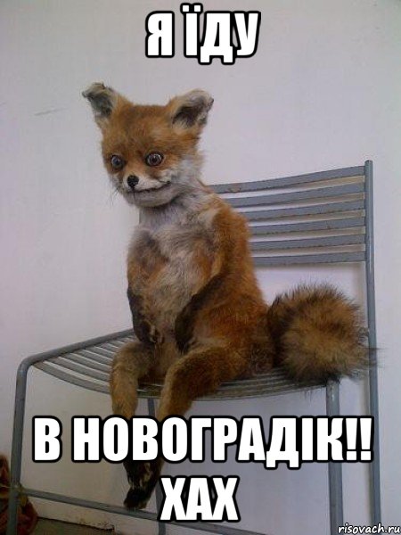 Я їду В Новоградік!! Хах, Мем Упоротая лиса
