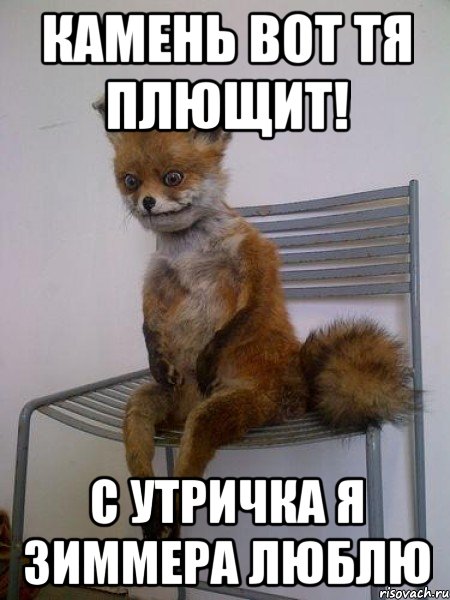 Камень вот тя плющит! С утричка я Зиммера люблю, Мем Упоротая лиса