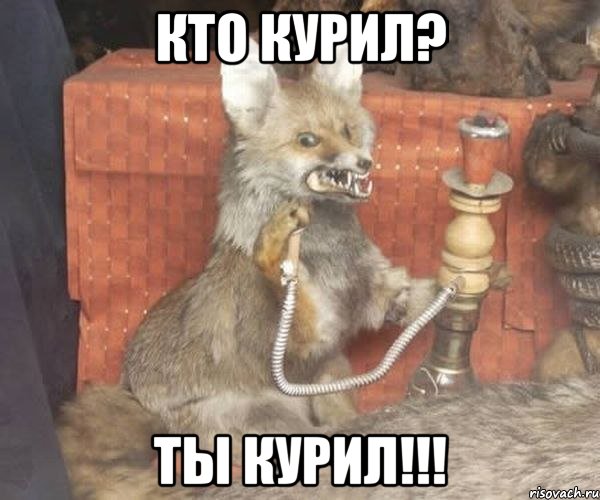 Кто курил? ТЫ КУРИЛ!!!