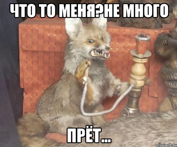 Что то меня?Не много Прёт...