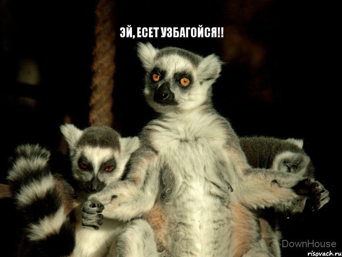 Эй, Есет узбагойся!!