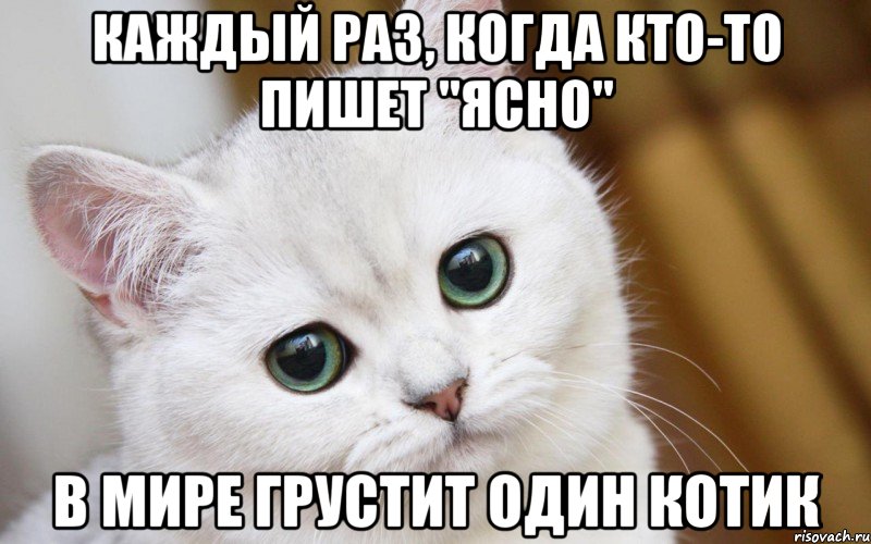 Каждый раз, когда кто-то пишет "Ясно" В мире грустит один котик, Мем  В мире грустит один котик