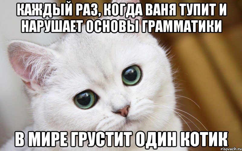 Каждый раз, когда Ваня тупит и нарушает основы грамматики В мире грустит один котик, Мем  В мире грустит один котик