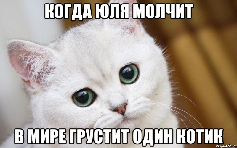 Когда Юля молчит В мире грустит один котик, Мем  В мире грустит один котик