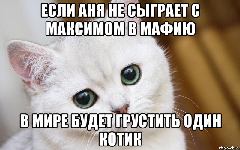 Если Аня не сыграет с Максимом в мафию В мире будет грустить один котик, Мем  В мире грустит один котик
