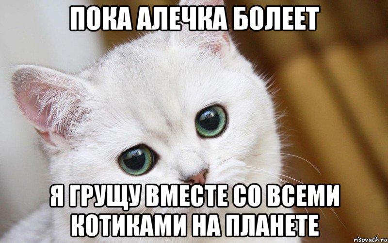 пока алечка болеет я грущу вместе со всеми котиками на планете, Мем  В мире грустит один котик