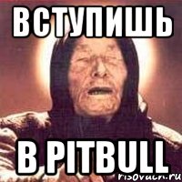 ВСТУПИШЬ В PITBULL, Мем Ванга (цвет)