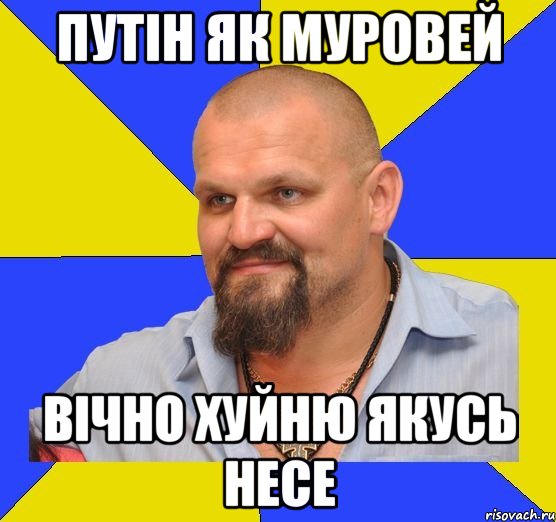 путін як муровей вічно хуйню якусь несе
