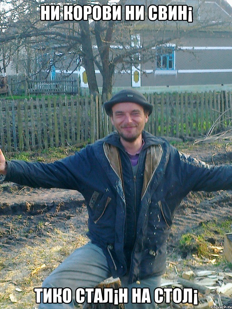 ни корови ни свин¡ тико стал¡н на стол¡