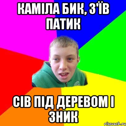 каміла бик, з'їв патик сів під деревом і зник