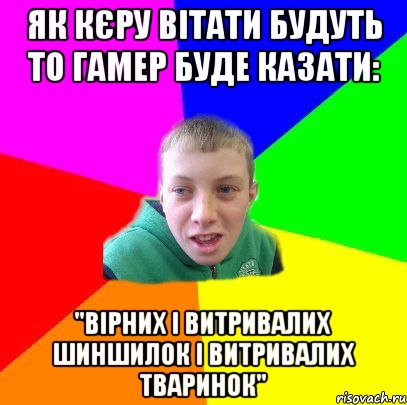 Як кєру вітати будуть то гамер буде казати: "вірних і витривалих шиншилок і витривалих тваринок"