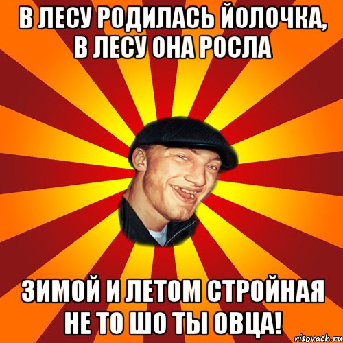 В лесу родилась йолочка, в лесу она росла зимой и летом стройная не то шо ты овца!
