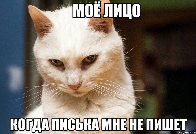  когда писька мне не пишет
