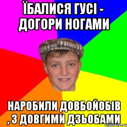 Їбалися гусі - догори ногами наробили довбойобів , з довгими дзьобами
