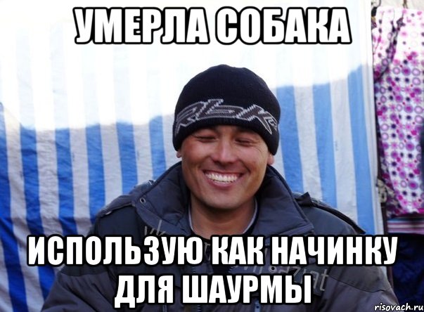 Умерла собака использую как начинку для шаурмы