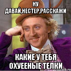 ну давай,Нестер,расскажи какие у тебя охуееные телки, Мем Ну давай расскажи (Вилли Вонка)