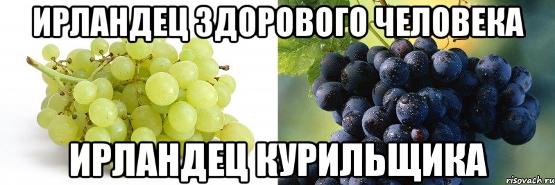 ирландец здорового человека ирландец курильщика, Мем виноград курильщика