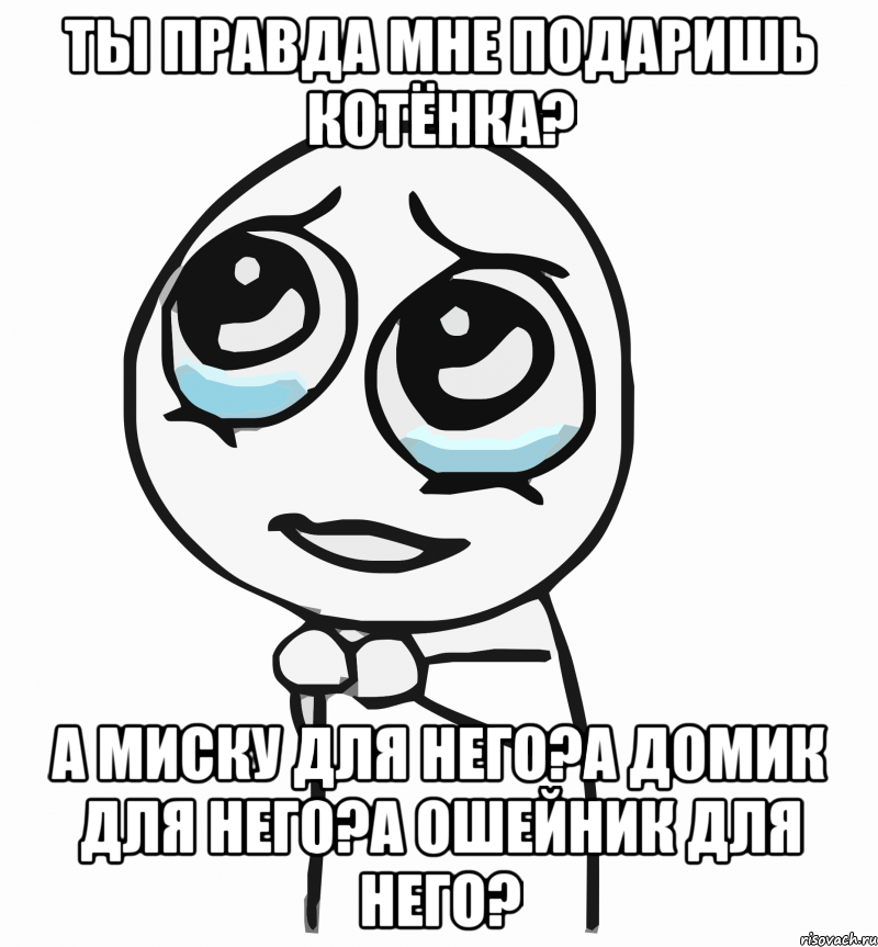 Ты правда мне подаришь котёнка? А миску для него?А домик для него?А ошейник для него?, Мем  ну пожалуйста (please)