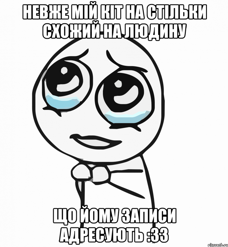 Невже мій кіт на стільки схожий на людину Що йому записи адресують :33, Мем  ну пожалуйста (please)