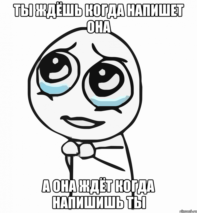 ты ждёшь когда напишет она а она ждёт когда напишишь ты, Мем  ну пожалуйста (please)