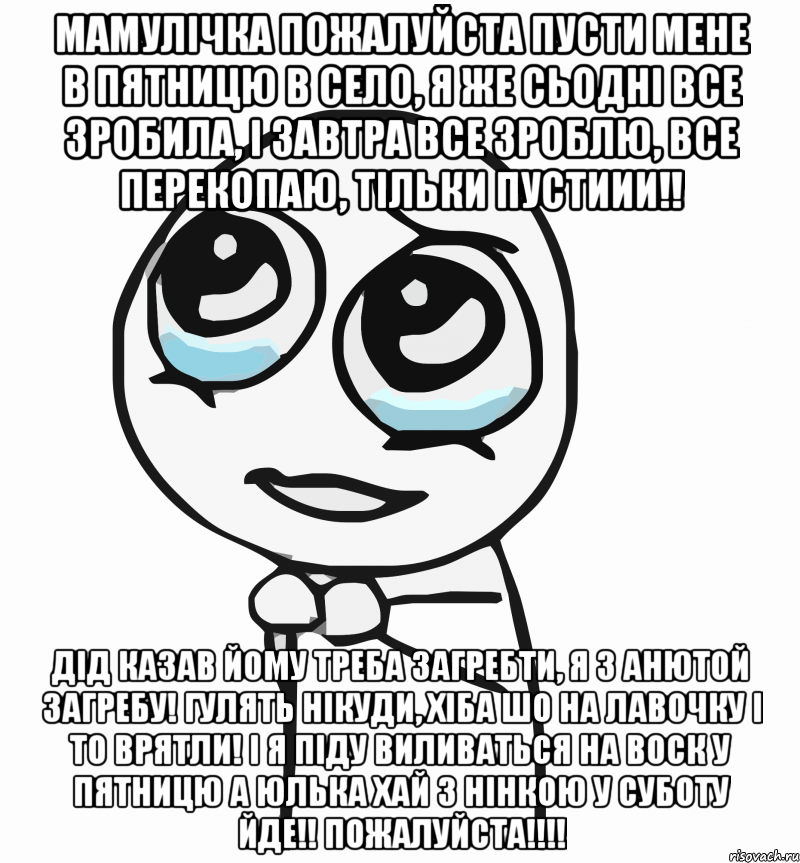 мамулічка пожалуйста пусти мене в пятницю в село, я же сьодні все зробила, і завтра все зроблю, все перекопаю, тільки пустиии!! дід казав йому треба загребти, я з Анютой загребу! гулять нікуди, хіба шо на лавочку і то врятли! і я піду виливаться на воск у пятницю а юлька хай з нінкою у суботу йде!! ПОЖАЛУЙСТА!!!!, Мем  ну пожалуйста (please)