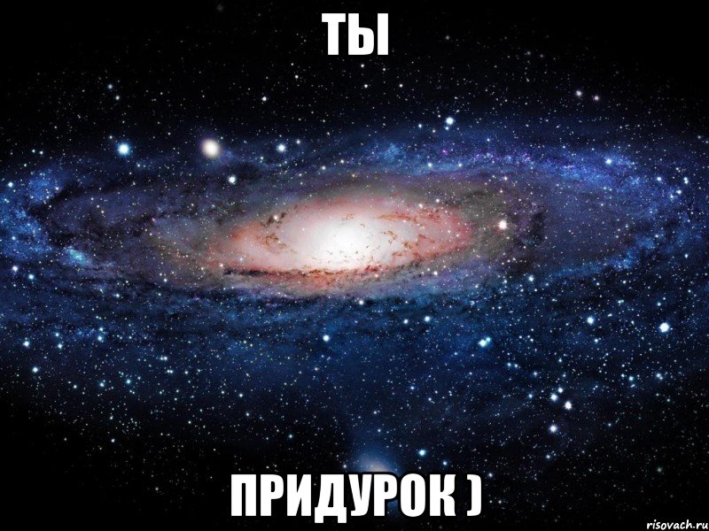 ты ПРИДУРОК ), Мем Вселенная