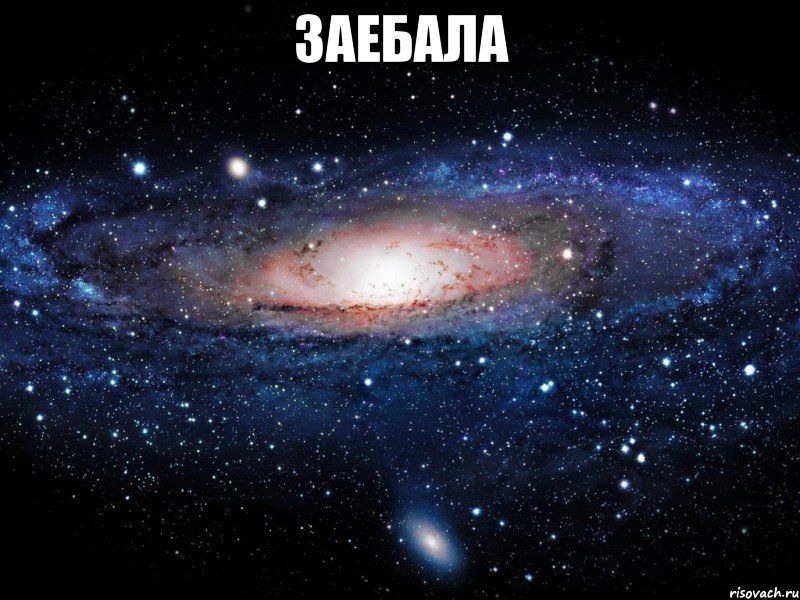 заебала , Мем Вселенная