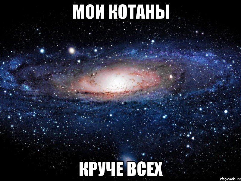 Мои котаны Круче всех, Мем Вселенная