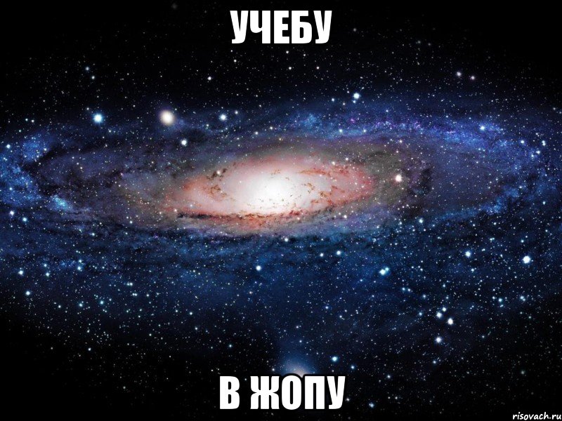 учебу в жопу, Мем Вселенная