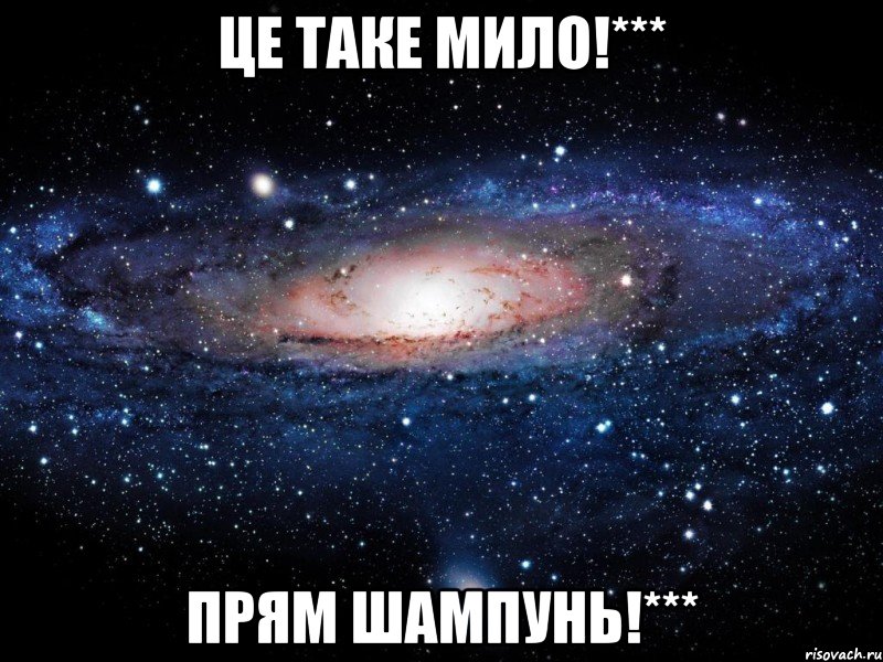 Це таке мило!*** Прям шампунь!***, Мем Вселенная