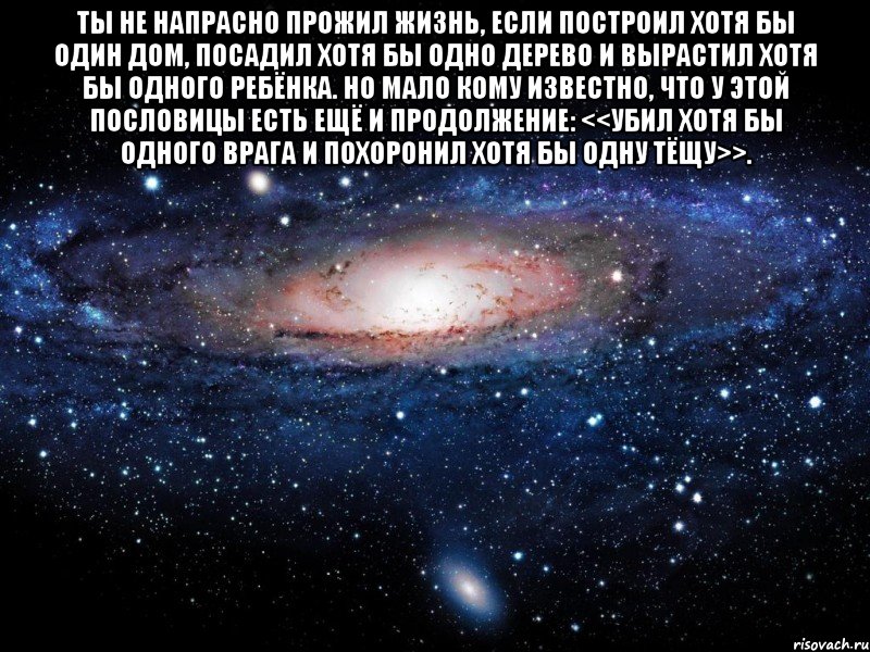 Ты не напрасно прожил жизнь, если построил хотя бы один дом, посадил хотя бы одно дерево и вырастил хотя бы одного ребёнка. Но мало кому известно, что у этой пословицы есть ещё и продолжение: <<Убил хотя бы одного врага и похоронил хотя бы одну тёщу>>. , Мем Вселенная