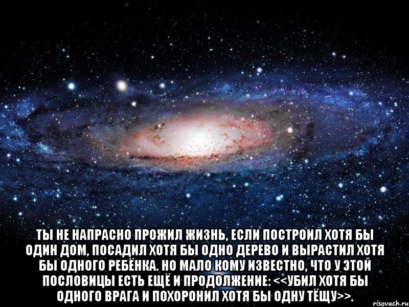  Ты не напрасно прожил жизнь, если построил хотя бы один дом, посадил хотя бы одно дерево и вырастил хотя бы одного ребёнка. Но мало кому известно, что у этой пословицы есть ещё и продолжение: <<Убил хотя бы одного врага и похоронил хотя бы одну тёщу>>., Мем Вселенная