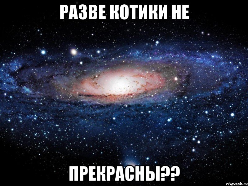 Разве котики не прекрасны??, Мем Вселенная