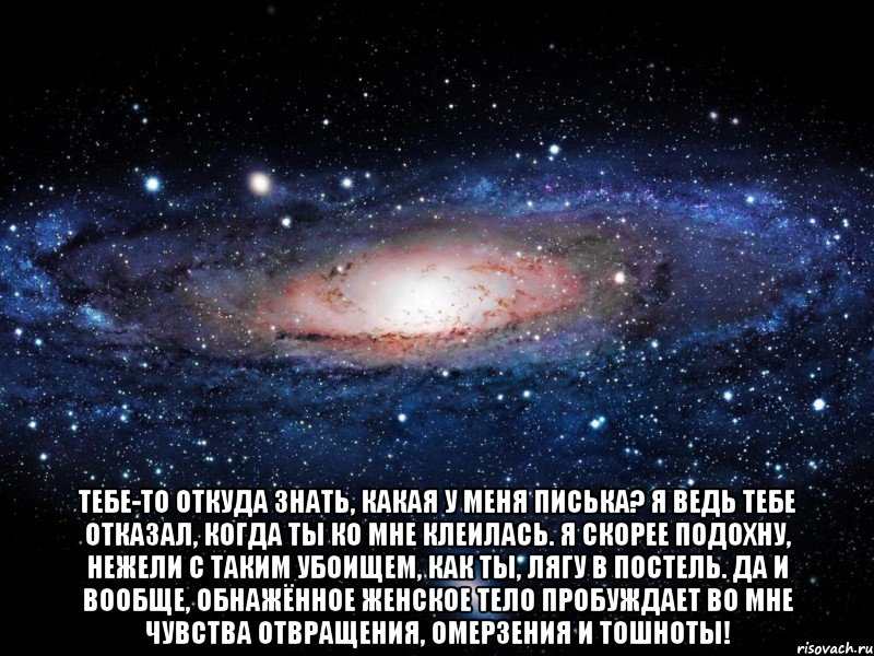  Тебе-то откуда знать, какая у меня писька? Я ведь тебе отказал, когда ты ко мне клеилась. Я скорее подохну, нежели с таким убоищем, как ты, лягу в постель. Да и вообще, обнажённое женское тело пробуждает во мне чувства отвращения, омерзения и тошноты!, Мем Вселенная