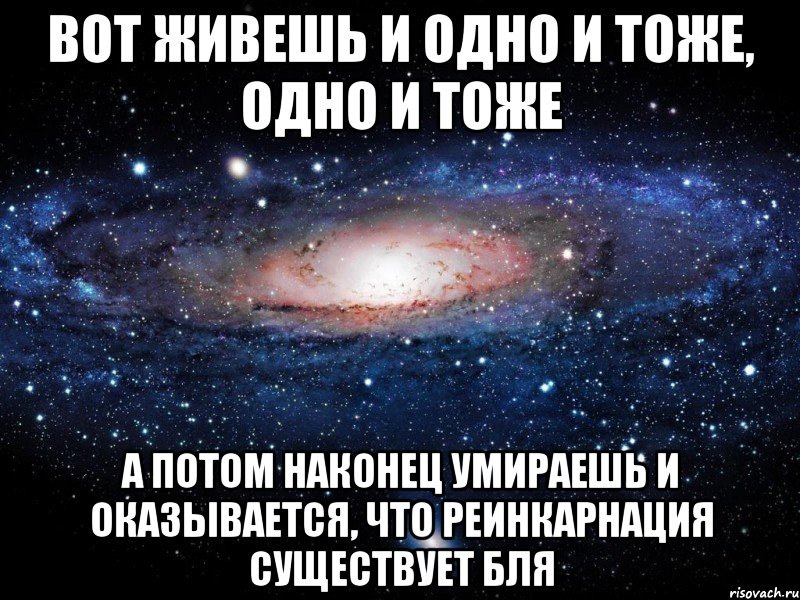 Вот живешь и одно и тоже, одно и тоже а потом наконец умираешь и оказывается, что реинкарнация существует бля, Мем Вселенная