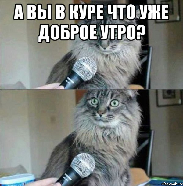 А вы в куре что уже доброе утро? 